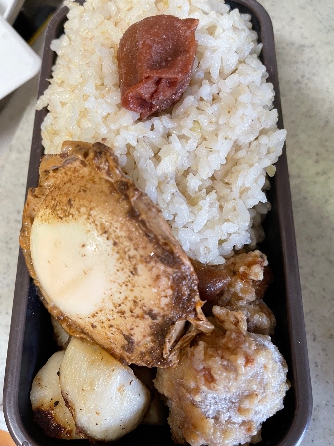 5／26今日の弁当