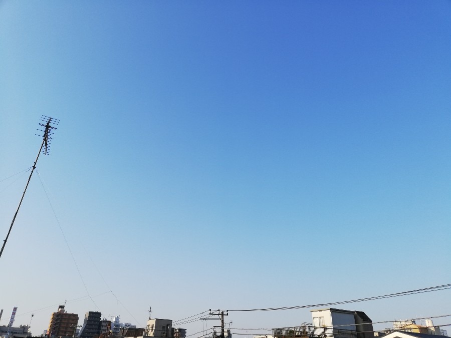 おはよう☀️🙋