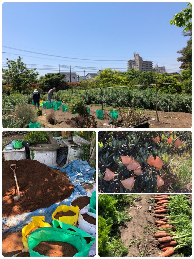 田舎ならではの豊かさ✨