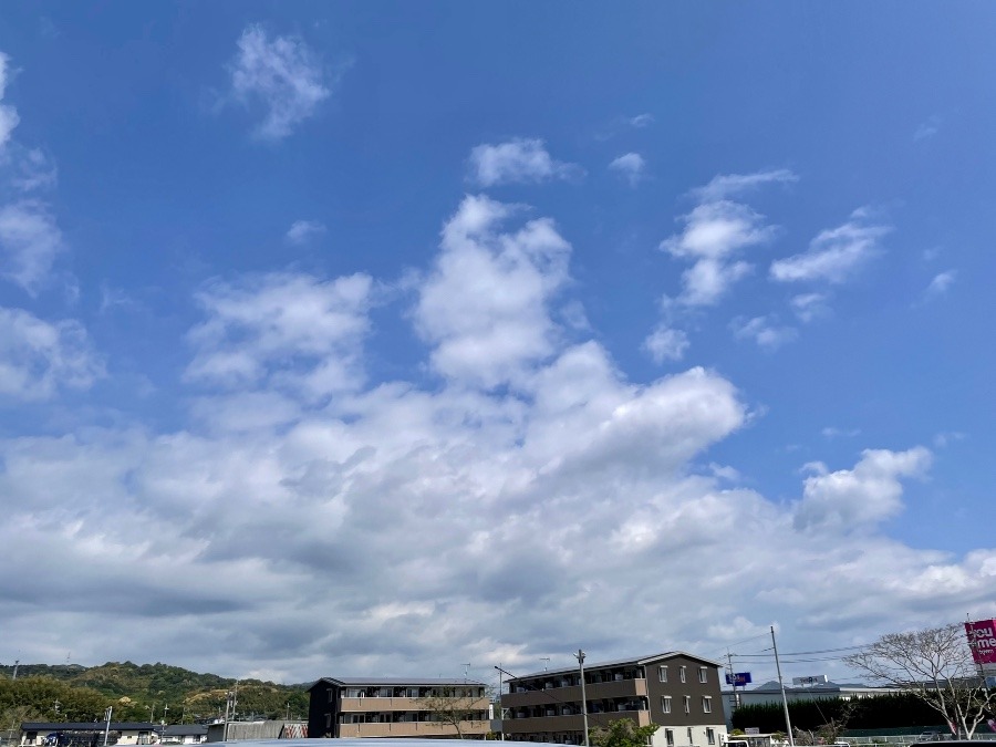 朝の空