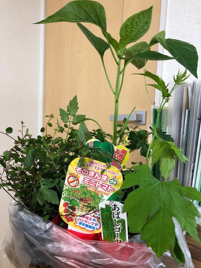 楽しいなー（＾∇＾）