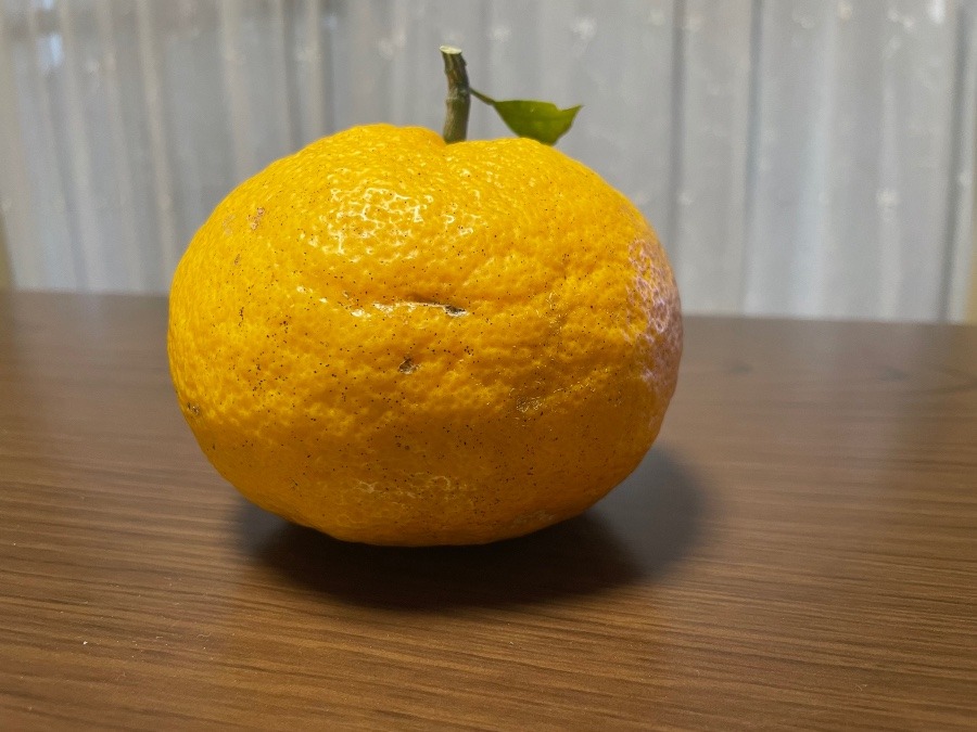 いただきました(^^)