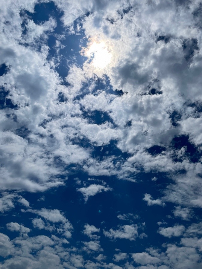 今日の空