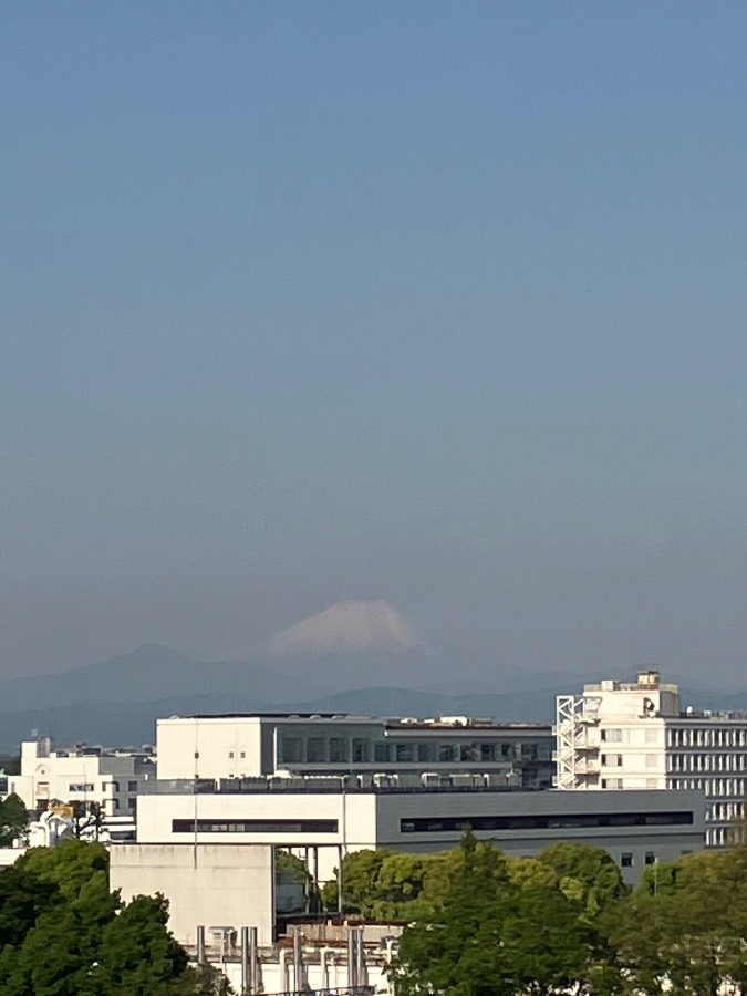 今朝の富士山　②