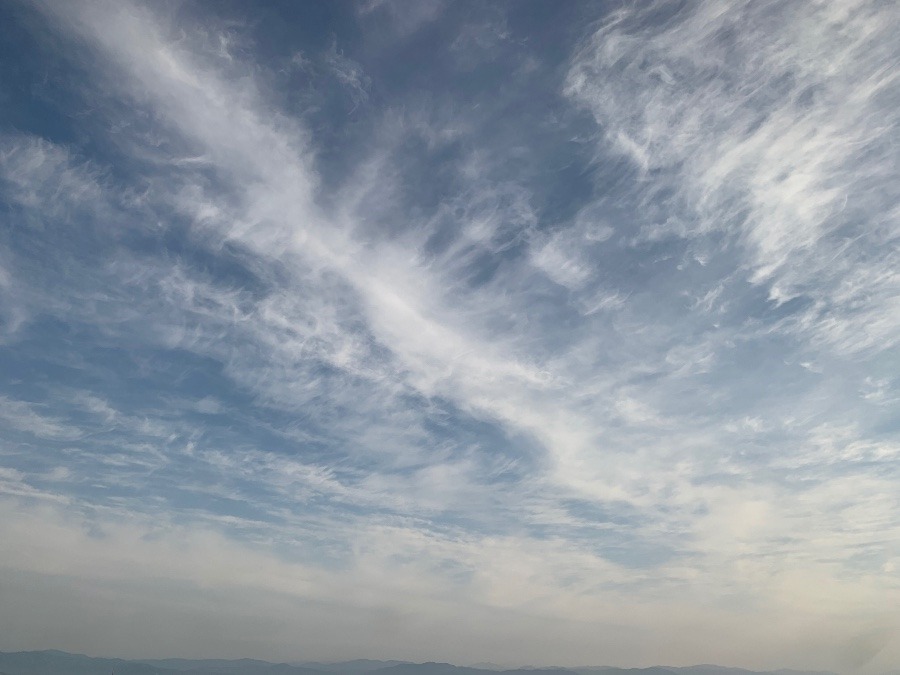 龍の空❗️