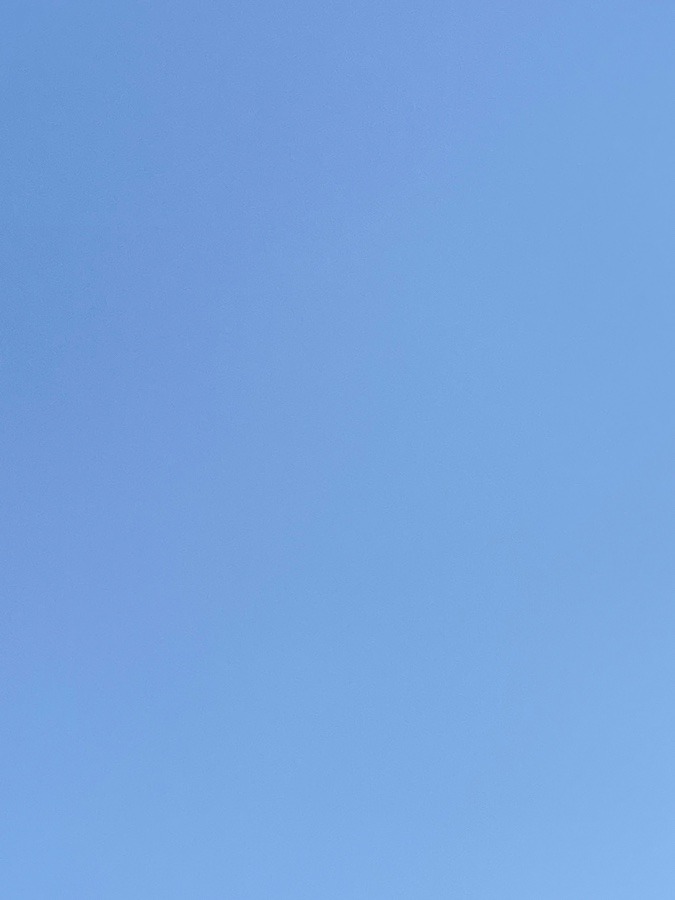 本日は快晴なり❣️