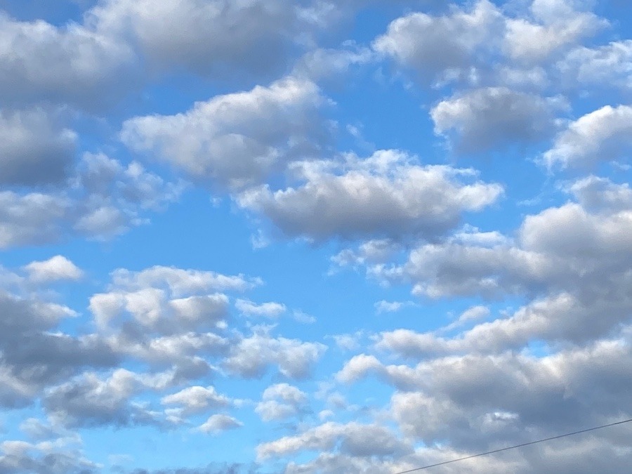 賑やかな空