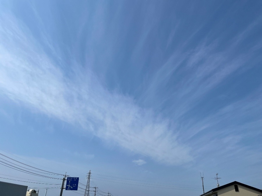 朝の空