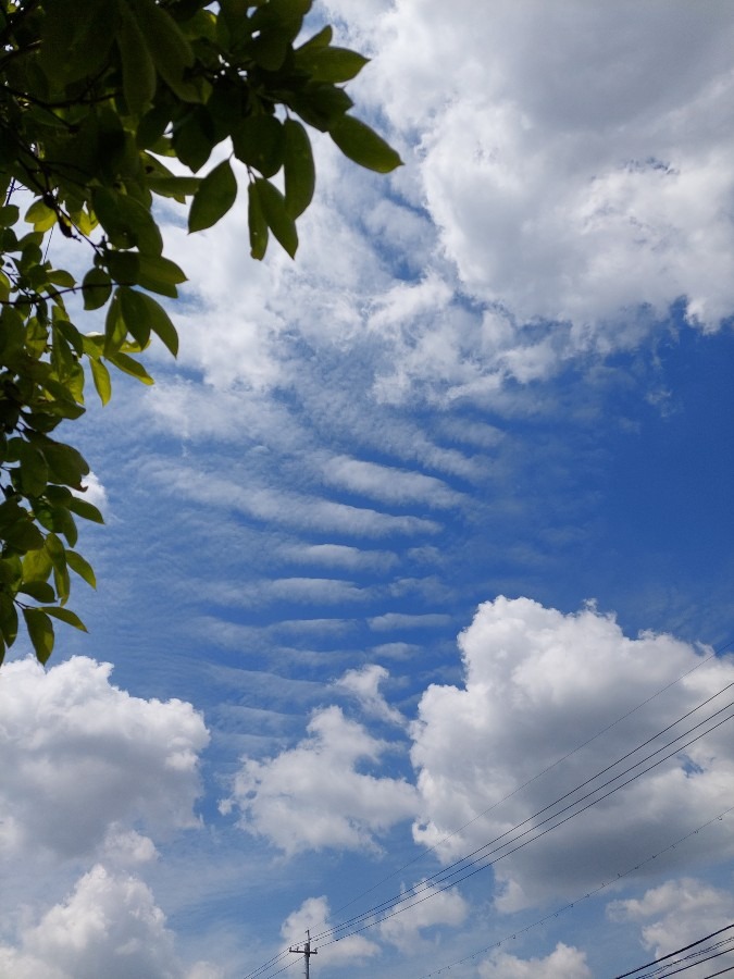 5/16今の空