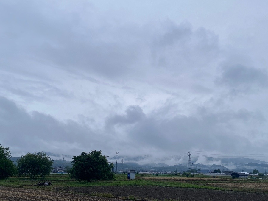 今朝の空