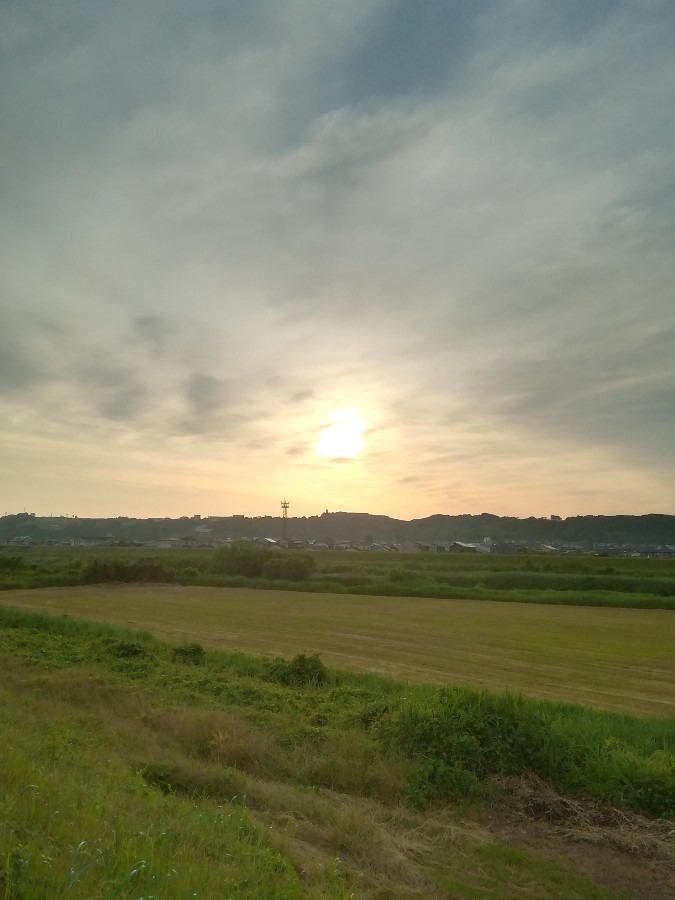 今朝の空