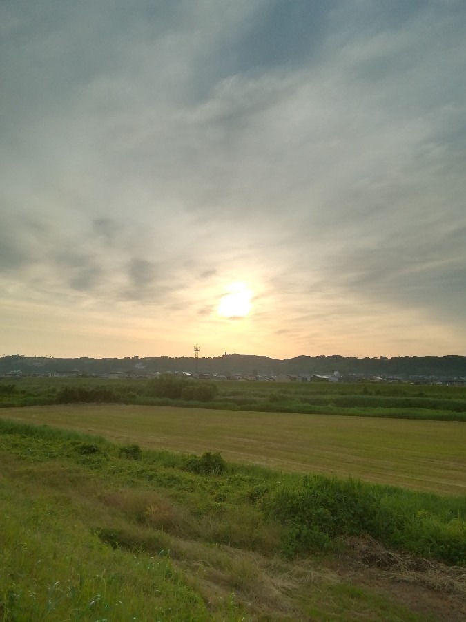 今朝の空