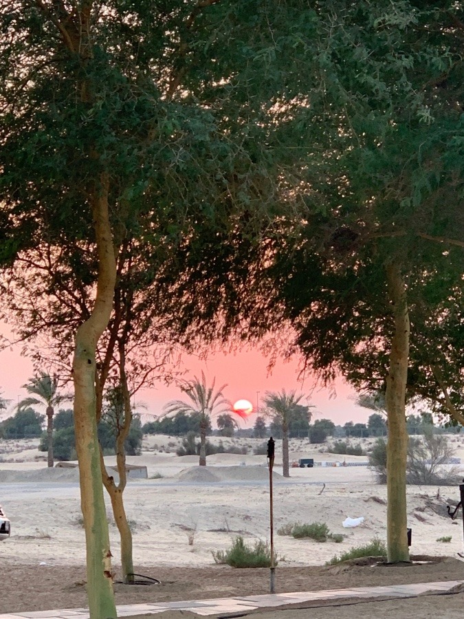 ドバイ　砂漠の夕陽