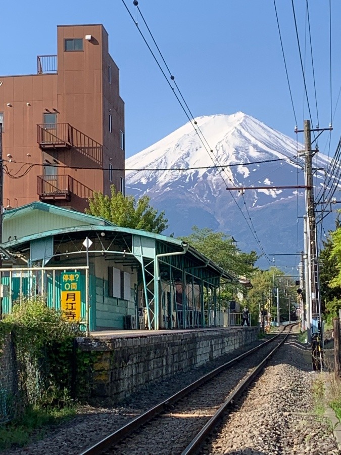 今日の富士山