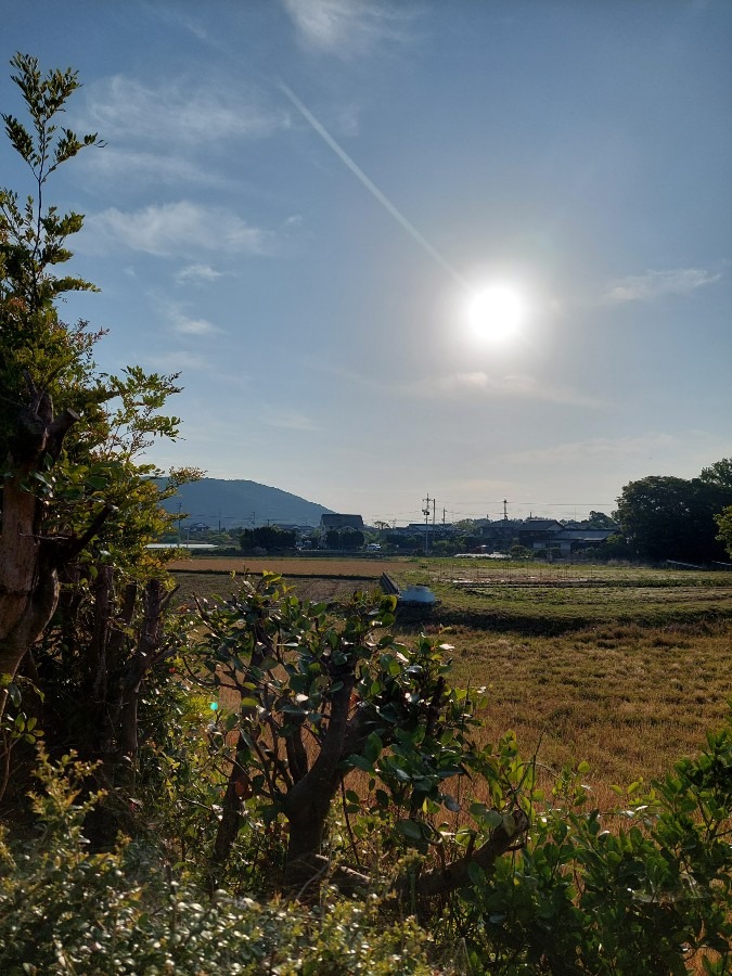 今日の空