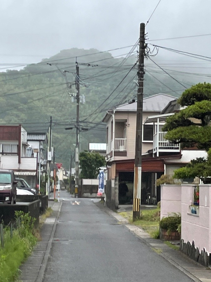 小雨の中