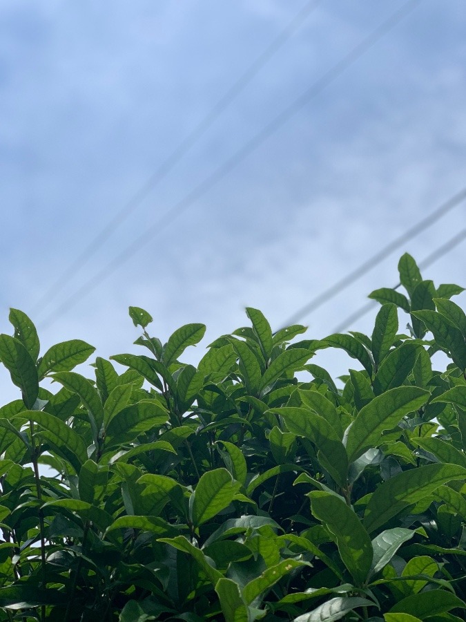 上へ上へ❗️