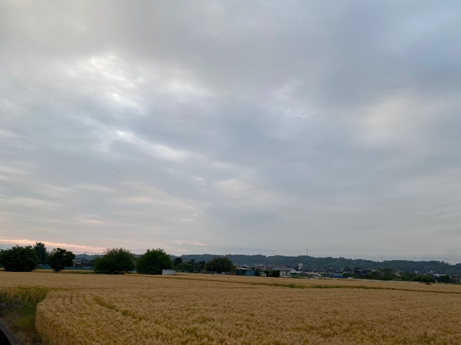 今朝の空