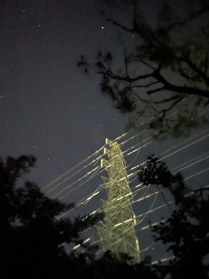 思いがけず、流れ星〜🌟