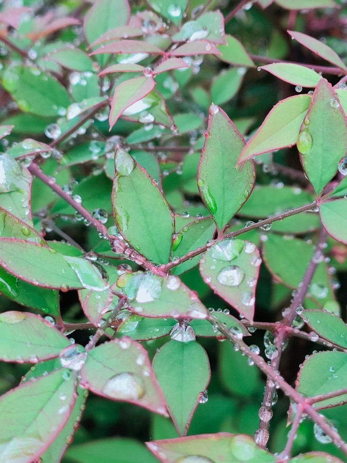 雨の日の楽しみ方☔