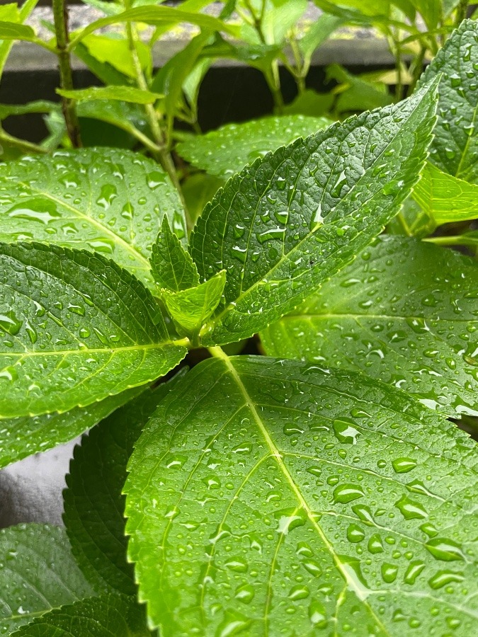 外は雨☔️