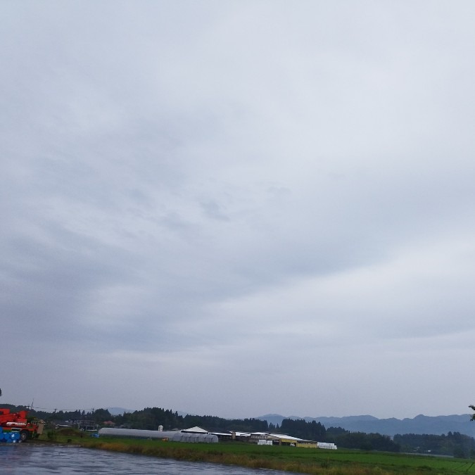 都城市（2022/5/16）　今朝はしとしと雨が降ってます😓