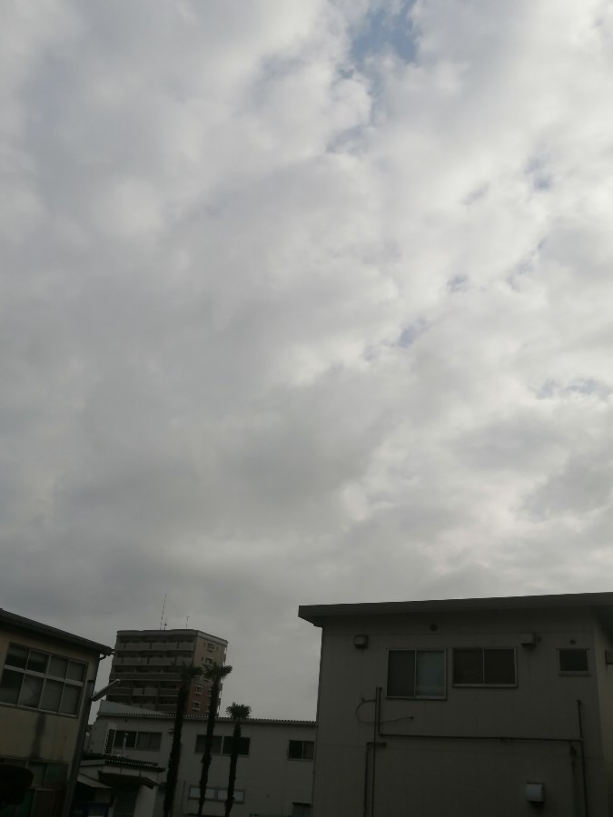 今日の空－8時04分