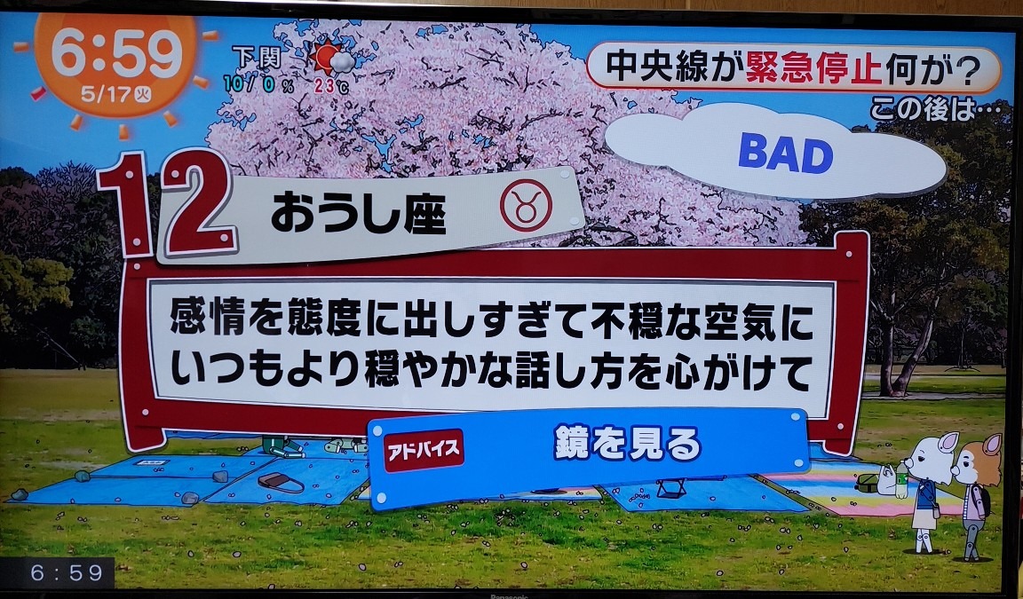 5/17今日の運勢12位おうし座♉