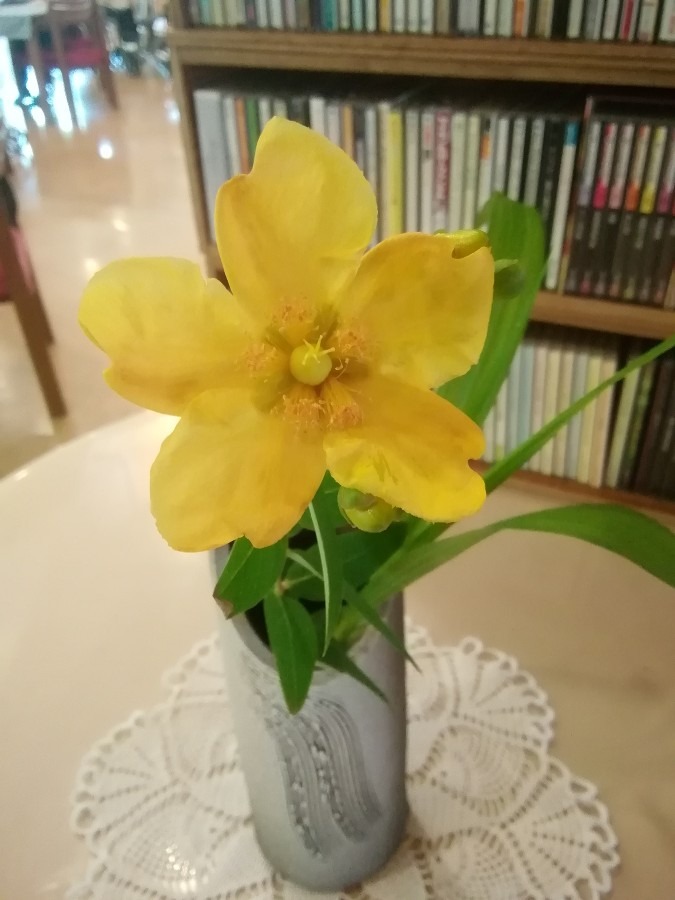 職場の花①