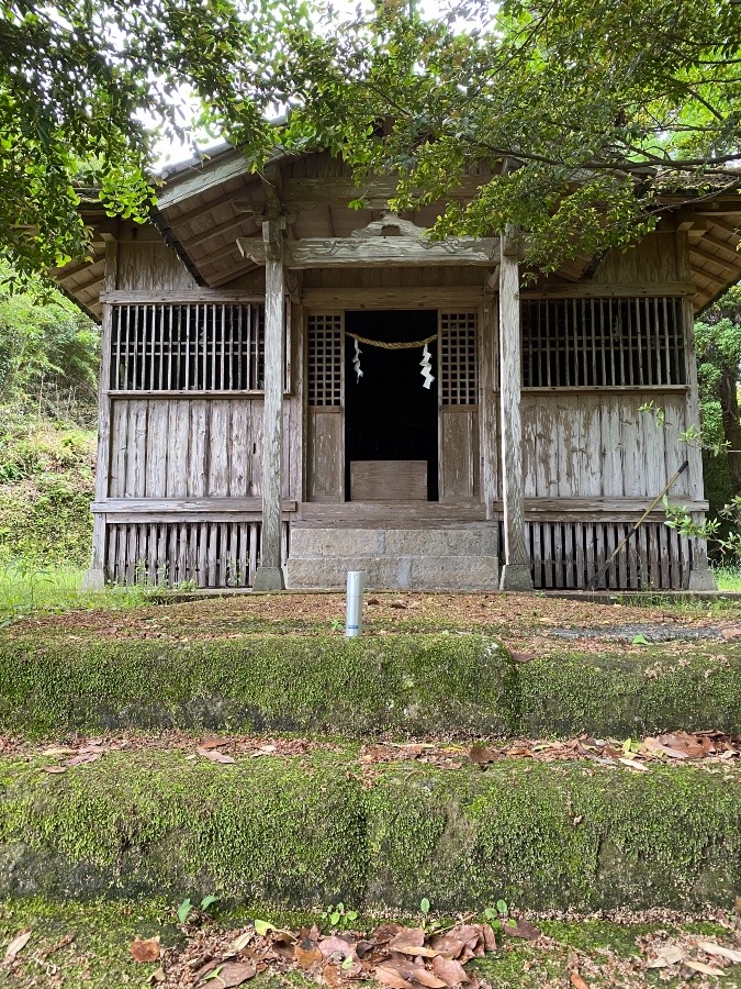 老神神社⛩