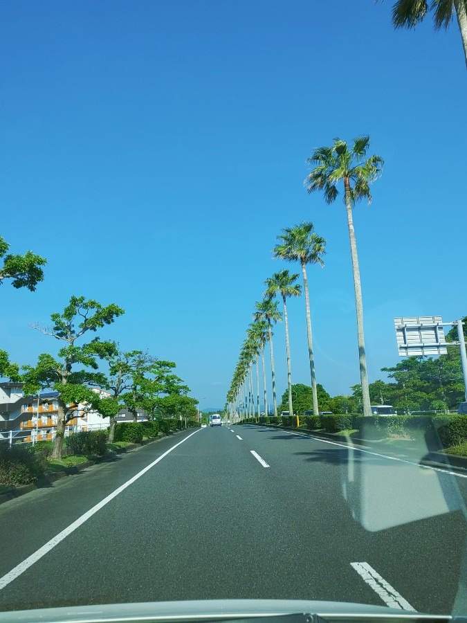 快晴☀️宮崎📷️南バイパス🚕💨