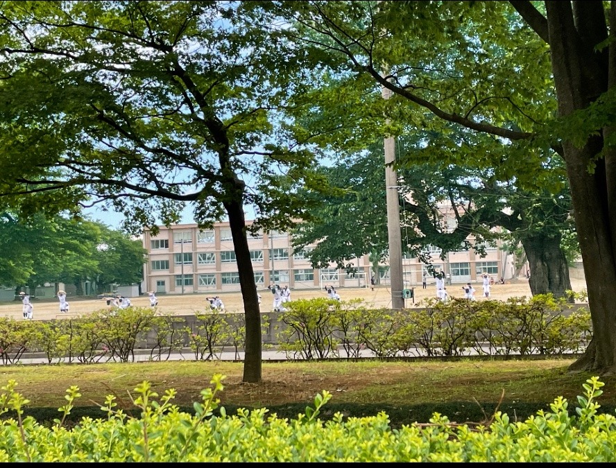 野球⚾️のある風景