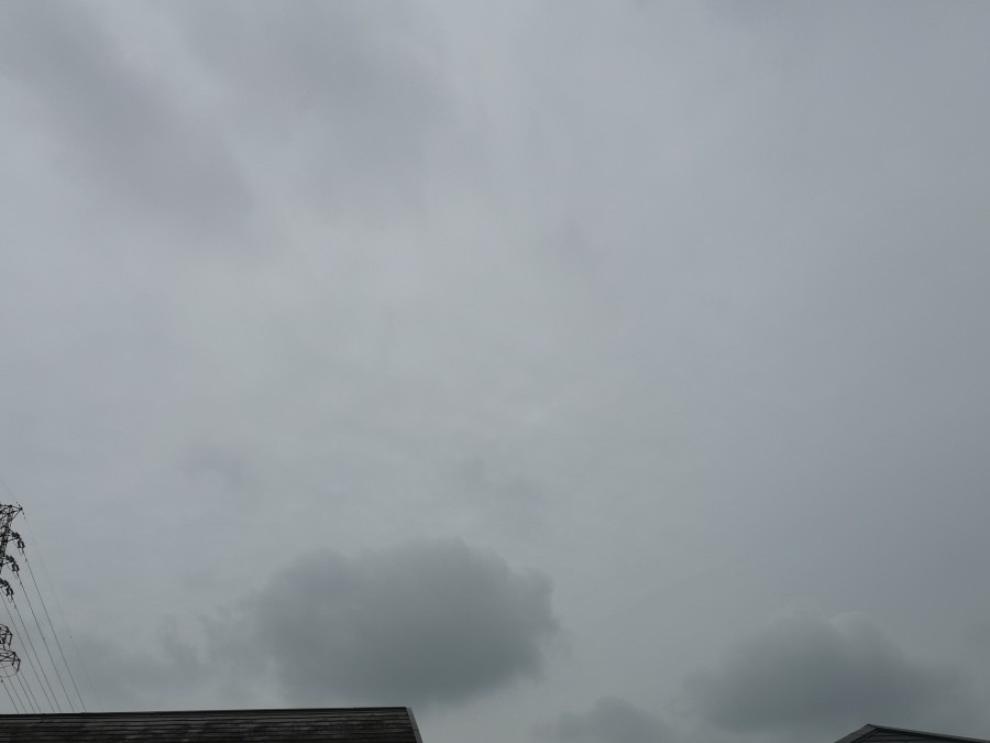 今日も１日　曇り☁