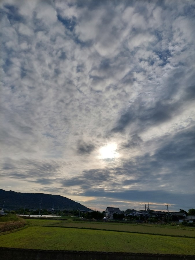 5/21今朝の空