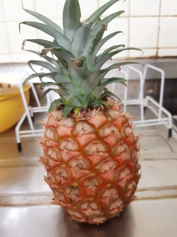 パイナップル🍍