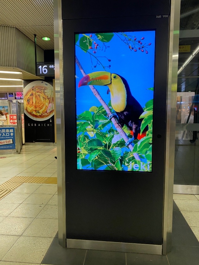 新宿駅の電光広告②