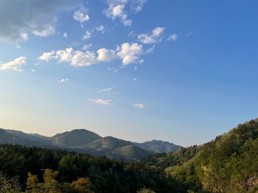 山頂からの絶景⛰