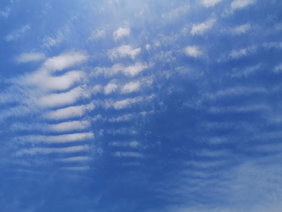 午前１１時　西の空　西東京市