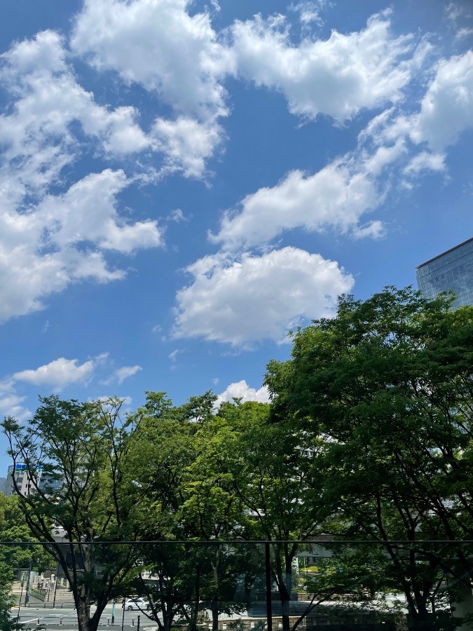 すっかり晴れて