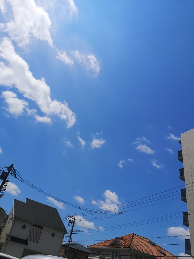 今、空✨✨✨国立市谷保