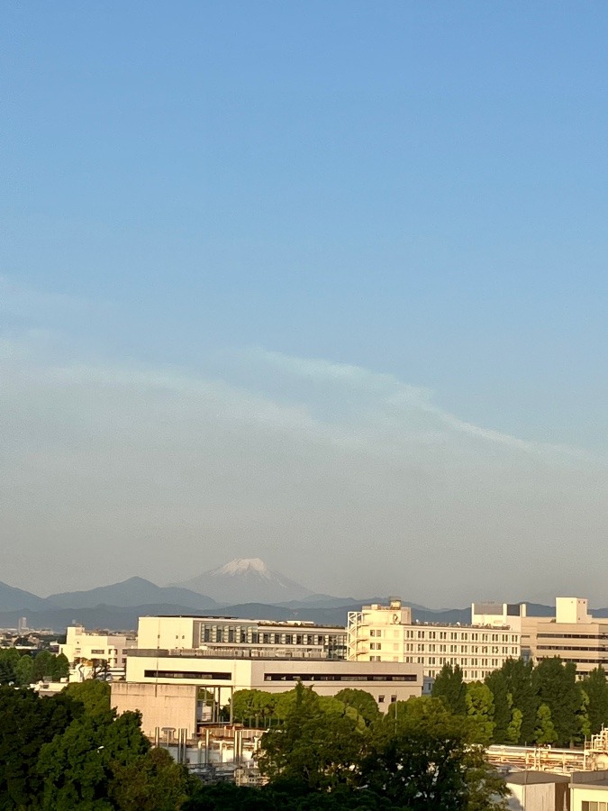 今朝の富士山