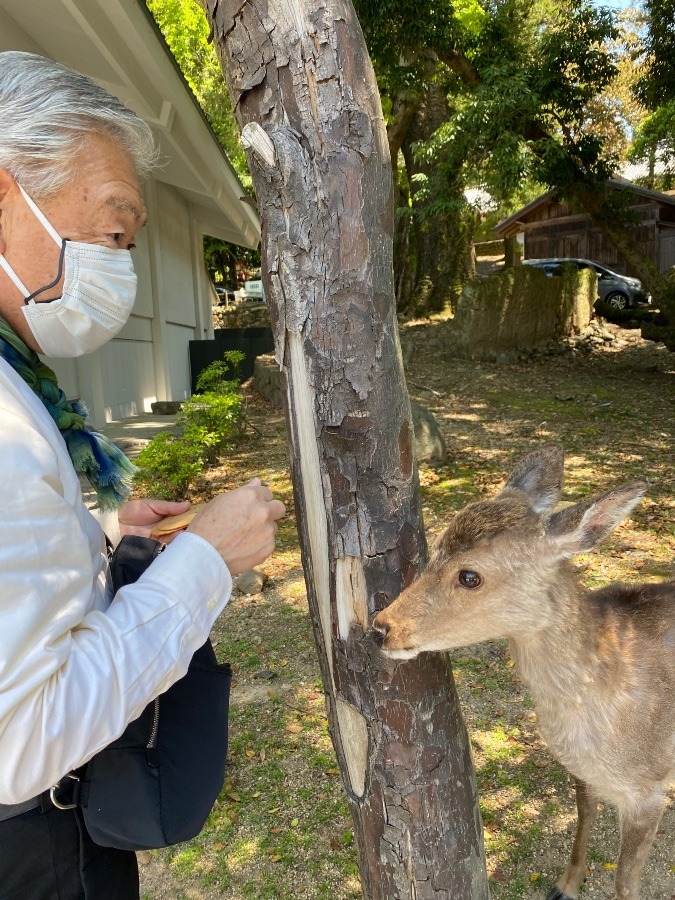 お煎餅あげようね‼️