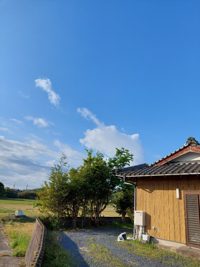 宇部の今空