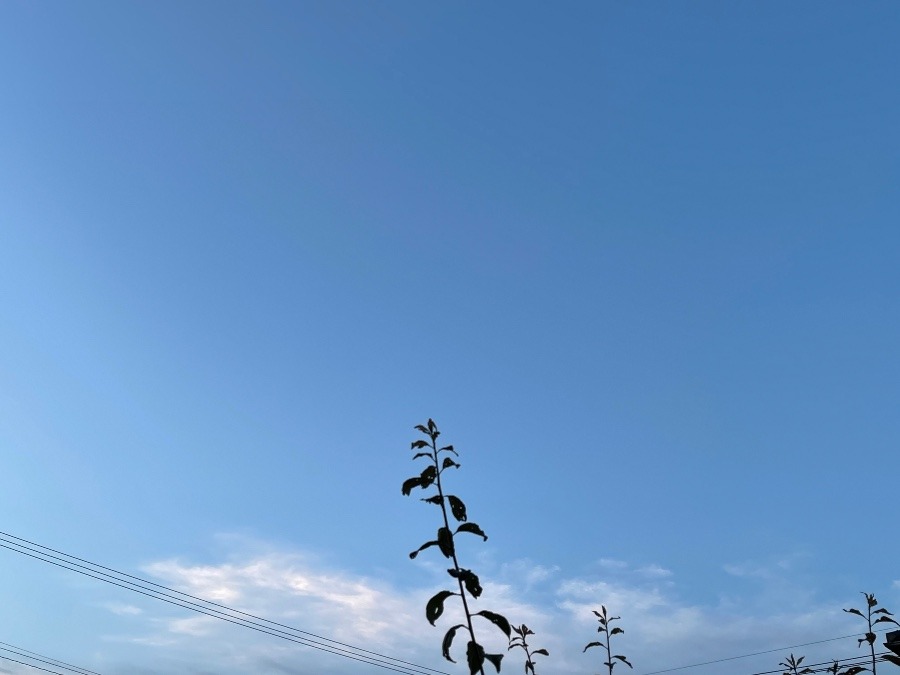 5／18今の空