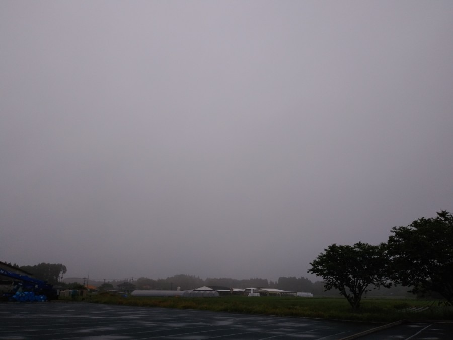 都城市（2022/5/11）　今朝は霧状の雨です😞