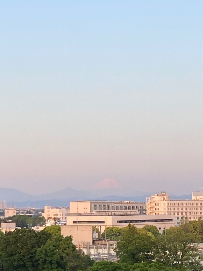 今朝の富士山