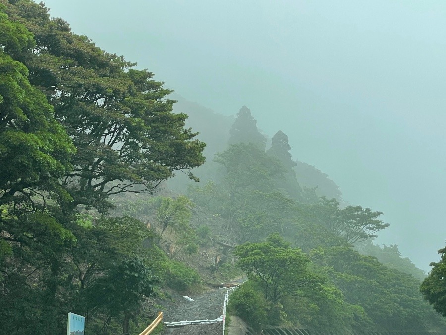 霧が立ち込めてる