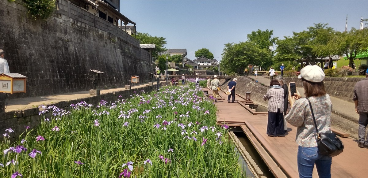 花祭り