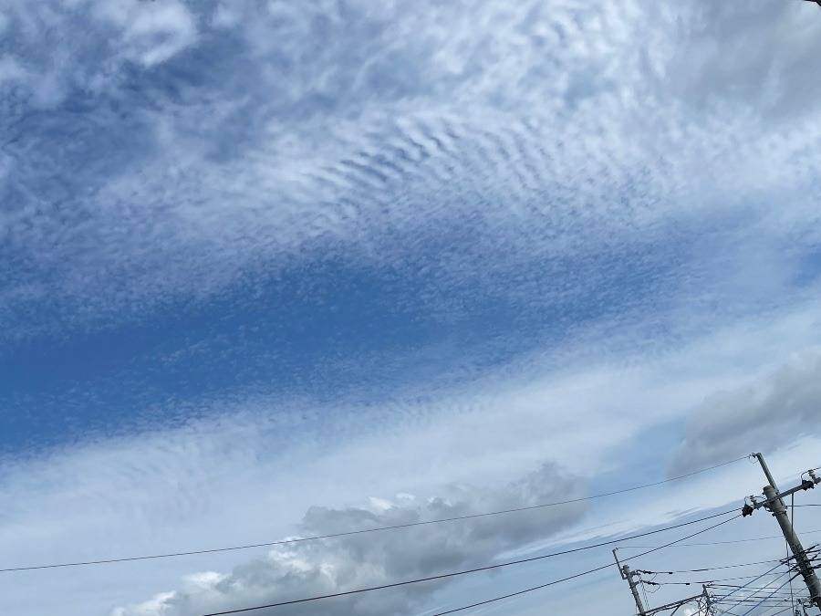 2022/5/31 朝の空