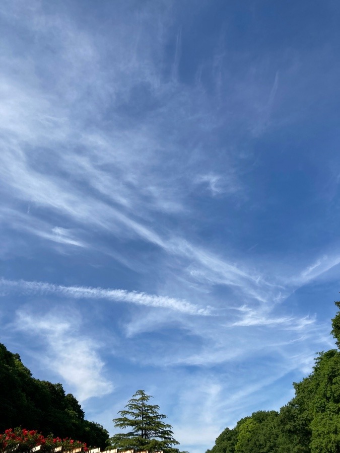 今日の空